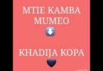 AUDIO: Khadija Kopa - Mtie Kamba Mumeo Remix Mp3 Download