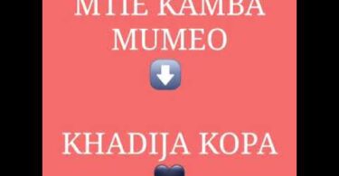 AUDIO: Khadija Kopa - Mtie Kamba Mumeo Remix Mp3 Download