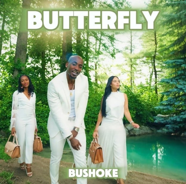 AUDIO: Bushoke - Butterfly Mp3 Download