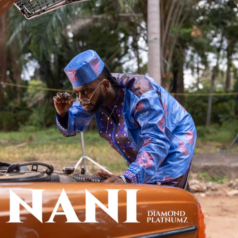AUDIO: Diamond Platnumz - Nani Mp3 Download