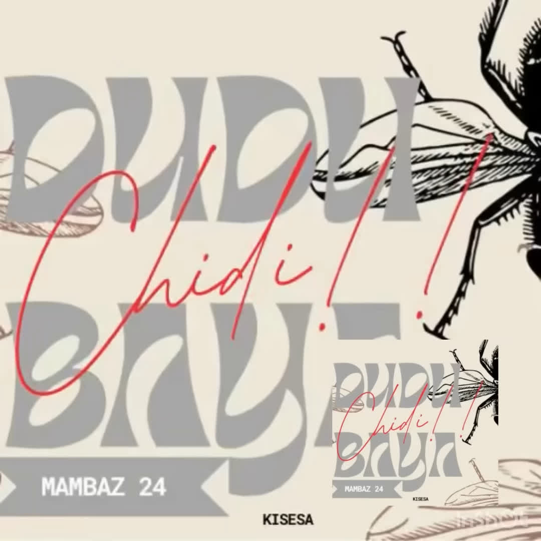AUDIO: Dudu Baya - Chidi (Diss Track) Mp3 Download