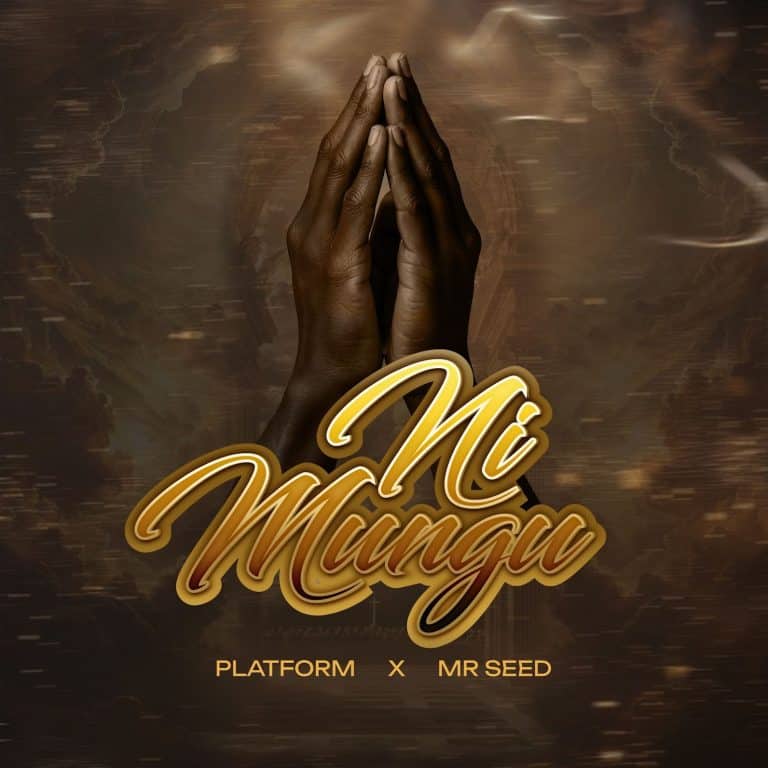 AUDIO: Platform Ft Mr Seed - Ni Mungu Mp3 Download